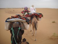 Trek Maroc